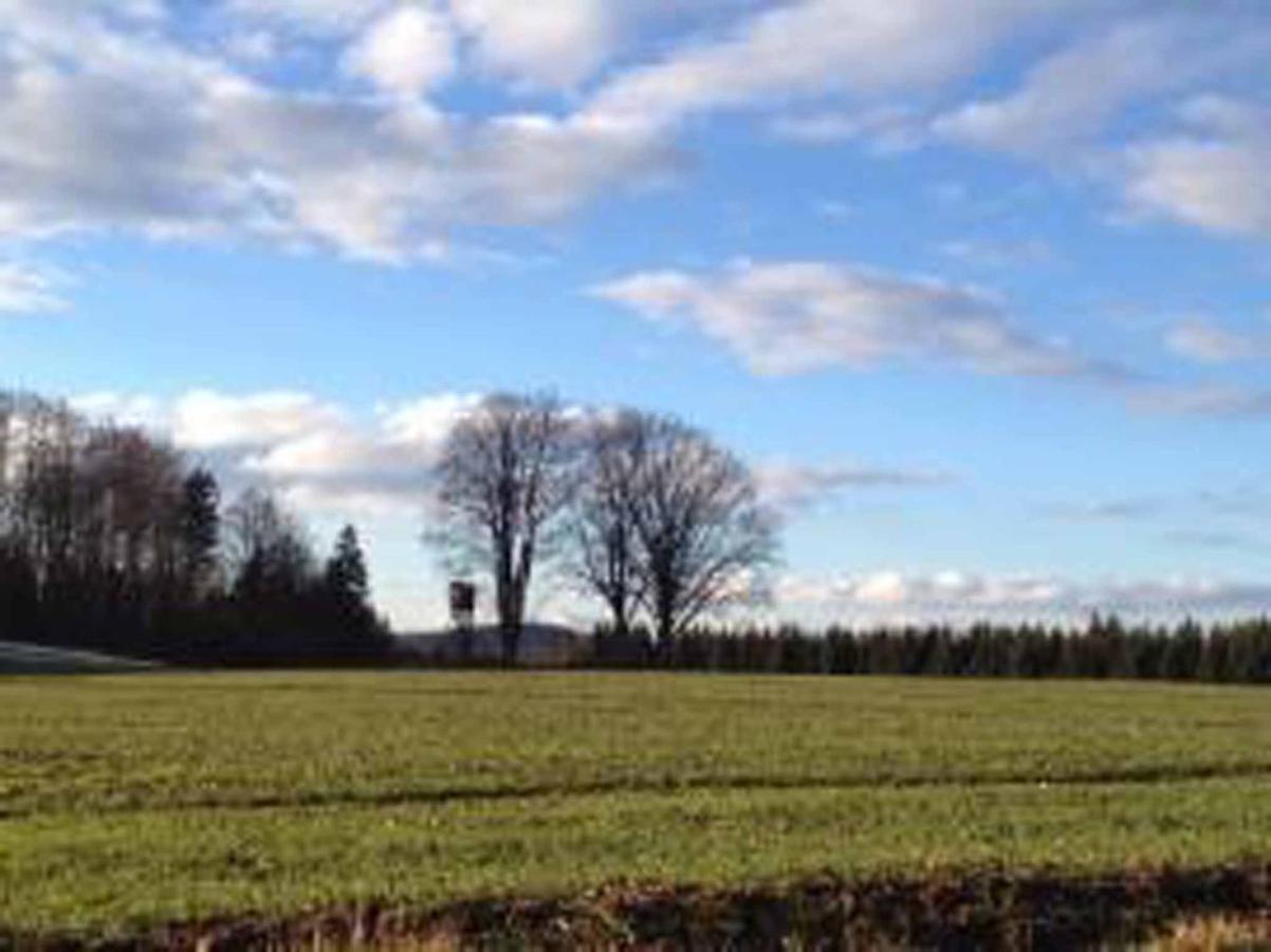 Ferienhaus Napoleon Waldmünchen Eksteriør bilde