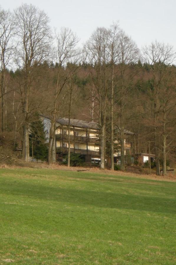 Ferienhaus Napoleon Waldmünchen Eksteriør bilde